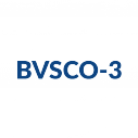 BVUSCO-3