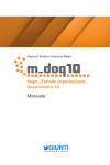 BE005 - M_DOQ10 - Majer_D’Amato Organizational 10